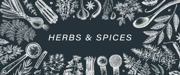 Hand Drawn Herbs Spices Vector Banner Hand Sketched Food Illustration — стоковый вектор