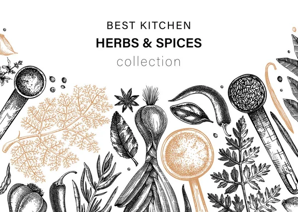 Hand Drawn Herbs Spices Vector Banner Design Hand Sketched Food — Vetor de Stock