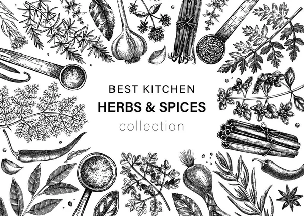 Hand Drawn Herbs Spices Vector Frame Design Hand Sketched Food — Image vectorielle