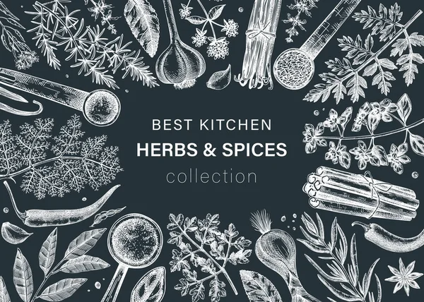 Hand Drawn Herbs Spices Vector Frame Design Hand Sketched Food — Archivo Imágenes Vectoriales