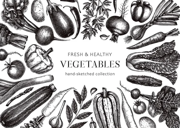 Vegetales Dibujado Mano Diseño Marco Vectorial Ilustración Alimentos Saludables Dibujados — Vector de stock