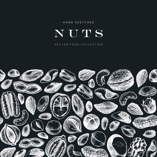 Culinary Nuts Design Chalkboard Hand Drawn Pecan Macadamia Pine Nuts — Archivo Imágenes Vectoriales