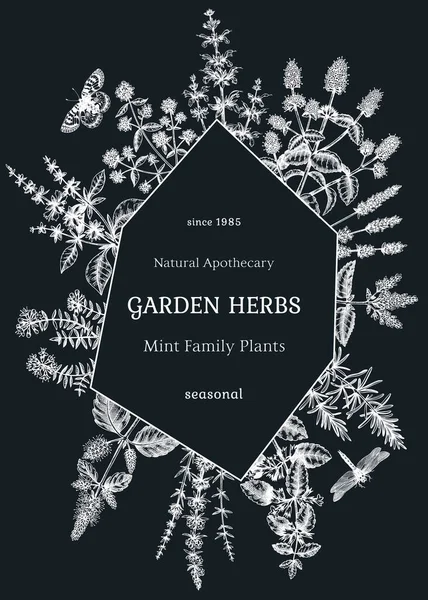 Hand Sketched Mints Card Invitation Design Mint Plants Insects Chalkboard — Stok Vektör