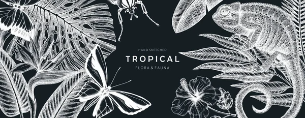 Tropical Banner Design Chalkboard Vector Frame Hand Drawn Tropical Plants — 图库矢量图片