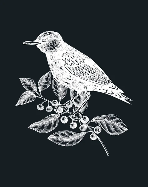 Pájaro Dibujado Mano Con Ilustración Flores Otoño Pizarra Diseño Otoño — Archivo Imágenes Vectoriales