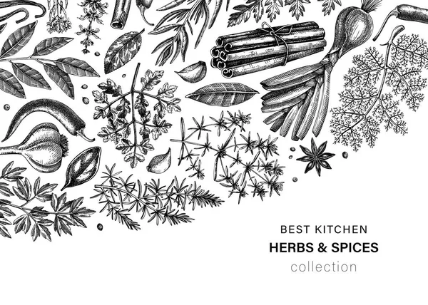 Мальовані Вручну Трави Спеції Векторний Дизайн Ілюстрація Ручної Роботи Їжею — стоковий вектор
