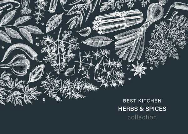 Мальовані Вручну Трави Спеції Векторний Банер Ілюстрація Ручної Роботи Їжею — стоковий вектор