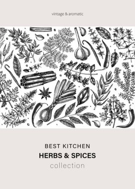 El yapımı otlar ve baharat vektör kartı tasarımı. Elle çizilmiş yemek çizimi. Aromatik bitki çizimleri. Mutfak otları ve baharat çerçeve şablonu davet, menü ve pankartlar için taslak biçimli