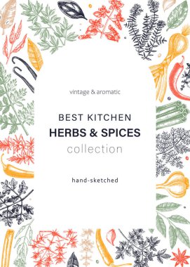 El yapımı otlar ve baharat vektör kartının rengi. Elle çizilmiş yemek çizimi. Aromatik bitki çizimleri. Mutfak otları ve baharat çerçeve şablonu ambalaj, menü, pankartlar için taslak biçimli