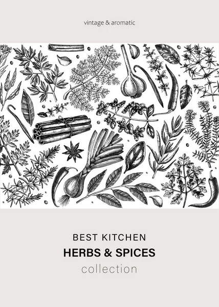 Kézzel Rajzolt Gyógynövények Fűszerek Vektorkártya Kialakítása Kézzel Rajzolt Étel Illusztráció — Stock Vector