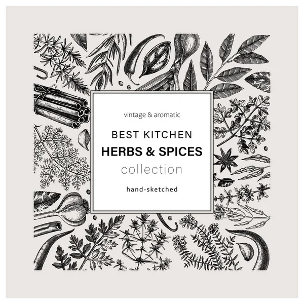 Hand Drawn Herbs Spices Square Card Hand Sketched Food Black — Stock Vector