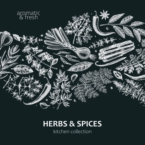 Hand Drawn Herbs Spices Wave Design Hand Sketched Food Card — Stock Vector