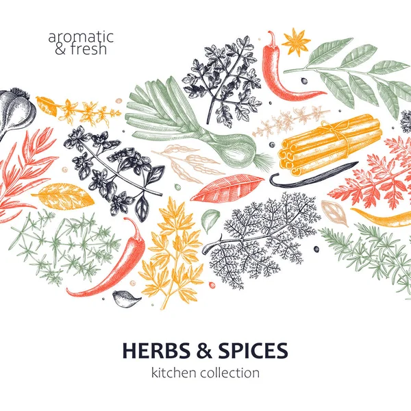 Hand Drawn Herbs Spices Wave Design Hand Sketched Food Card — Stock Vector