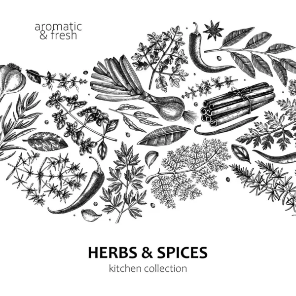 Hand Drawn Herbs Spices Wave Design Hand Sketched Food Black — Stock Vector