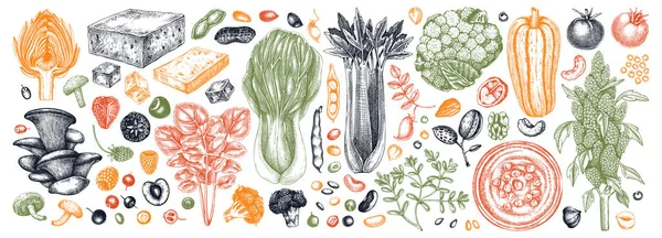 Illustrationen Veganen Lebensmitteln Sammlung Von Illustrationen Für Gesunde Lebensmittel Handgezeichnete — Stockvektor