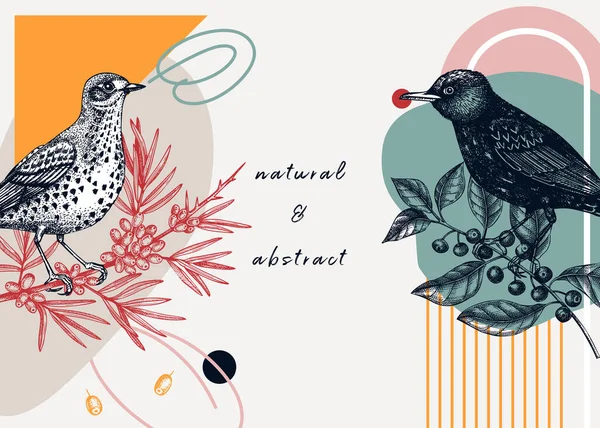 Fuglerbakgrunn Kollaps Sketched Bird Trendy Frame Kreativ Bakgrunn Med Botaniske – stockvektor