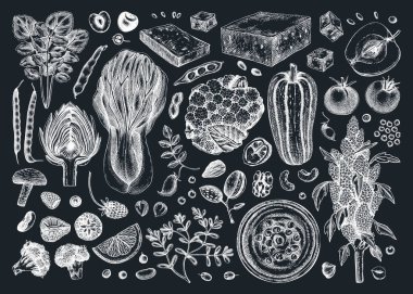 Tahtada vejetaryen yemek çizimleri var. Sağlıklı gıda çizimleri. Elle çizilmiş vejetaryen yemekleri ve menü, tarif, ambalaj tasarımı malzemeleri. Vejetaryen yemeği, fındık, tohum, meyve, sebze, tofu skeci