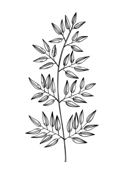 Decorative Autumn Leaf Sketch Tropical Foliage Drawing Hand Drawn Botanical — Stockvektor