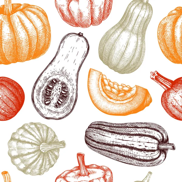 Sketched Pumpkin Seamless Pattern Thanksgiving Day Wall Design Autumn Food — 图库矢量图片