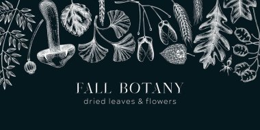 Autumn banner with fallen leaves and dried flowers. Sketched botanical border template on chalkboard. Dried herbs, fall leaves, mushrooms, and fruit illustration. Thanksgiving background.