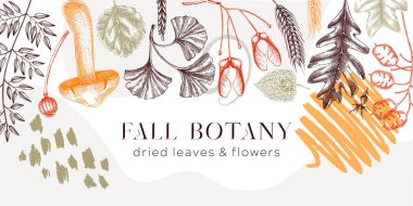 Autumn banner with fallen leaves and dried flowers. Collage style Thanksgiving background. Hand drawn botanical border template. Sketched dried herbs, fall leaves, mushrooms, and fruit illustration. 