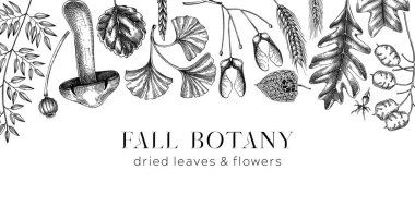 Autumn banner with fallen leaves and dried flowers. Sketched botanical border template. Hand-drawn dried herbs, fall leaves, mushrooms, and fruit illustration. Black and white Thanksgiving background.
