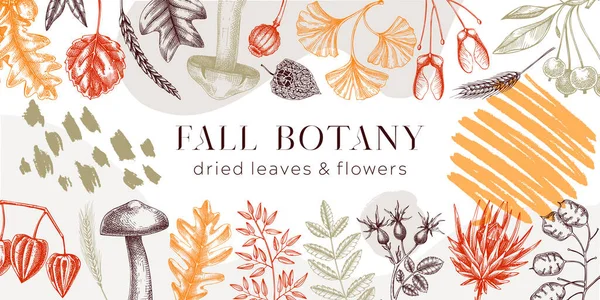 Autumn Banner Fallen Leaves Dried Flowers Thanksgiving Background Collage Style — 图库矢量图片