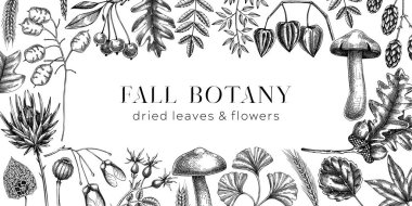 Autumn background with fall leaves and dried flowers. Thanksgiving frame design. Fall backdrop in sketched style. Dried herbs, falling leaves, mushrooms, seeds banner. Black and white illustration. 