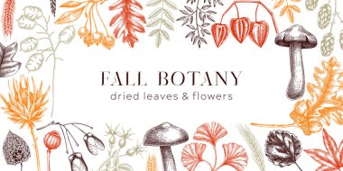 Autumn background with fall leaves and dried flowers. Thanksgiving frame design. Fall backdrop in sketched style. Dried herbs, falling leaves, mushrooms, seeds banner. Botanical illustration. 