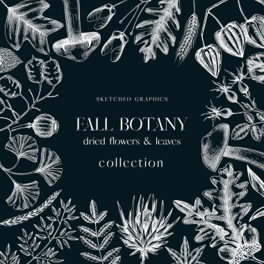 Autumn frame with fall leaves and dried flowers on chalkboard. Thanksgiving banner design. Fall card or invitation. Sketched dried herbs, falling leaves, mushrooms, seeds frame. 