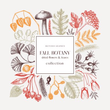 Autumn wreath with fall leaves and dried flowers. Thanksgiving banner design. Fall card or invitation. Sketched dried herbs, falling leaves, mushrooms, seeds frame. Colorful botanical  illustration