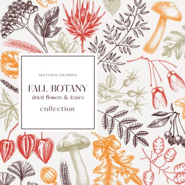 Autumn card or invitation in color. Thanksgiving banner design. Fall wreath with fall leaves and dried flowers. Sketched dried herbs, falling leaves, mushrooms, seeds frame. 