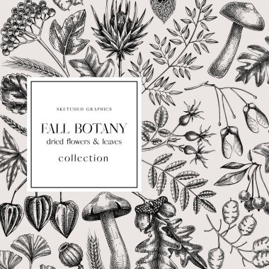 Autumn card or invitation. Thanksgiving banner design. Fall wreath with fall leaves and dried flowers. Sketched dried herbs, falling leaves, mushrooms, seeds. Black and white illustration
