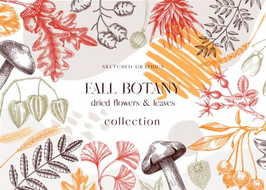 Autumn collage with fall leaves and dried flowers. Thanksgiving background. Fall card or invitation. Sketched dried flowers, falling leaves, mushrooms, seeds frame. Colorful botanical illustration