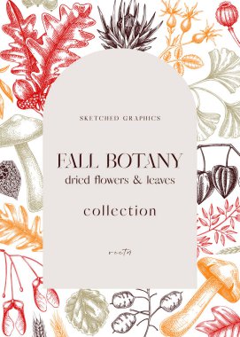 Autumn arc design with fall leaves and dried flowers. Thanksgiving background. Fall card or invitation. Sketched dried herbs, falling leaves, mushrooms, seeds frame. Botanical illustration in color