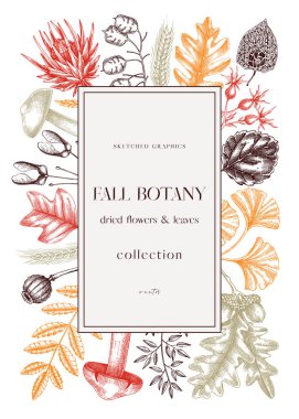 Autumn design with fall leaves and dried flowers. Thanksgiving background. Fall card or invitation. Sketched dried flowers, falling leaves, mushrooms, seeds frame. Botanical illustration in color