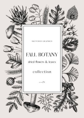 Autumn design with fall leaves and dried flowers. Thanksgiving background. Fall card or invitation. Sketched dried flowers, falling leaves, mushrooms vector frame. Vintage botanical illustration. 