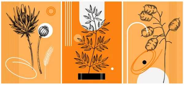 Collage Style Autumn Vector Illustration Sketched Leaves Dried Flowers Trendy — Archivo Imágenes Vectoriales