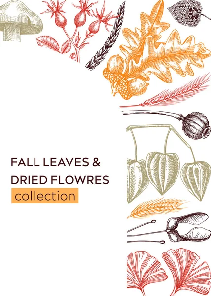 Autumn Design Fall Leaves Dried Flowers Thanksgiving Background Fall Card — Stockvector