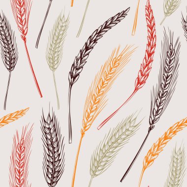 Cereals seamless pattern. Hand-drawn botanical element in sketched style. Thanksgiving background with wheat illustrations. Cereal plants vector backdrop for wrapping paper and textile 