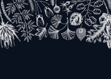 Autumn background. Fallen leaves and dried flowers banner. Botanical border template. Hand-drawn dried herbs, fall leaves, mushrooms, and fruit illustration. Thanksgiving background.