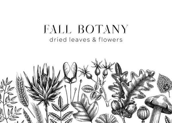 Autumn banner with fallen leaves and dried flowers. Botanical border template. Hand-drawn dried plants, fall leaves, mushrooms, and fruit illustration. Black and white Thanksgiving background.