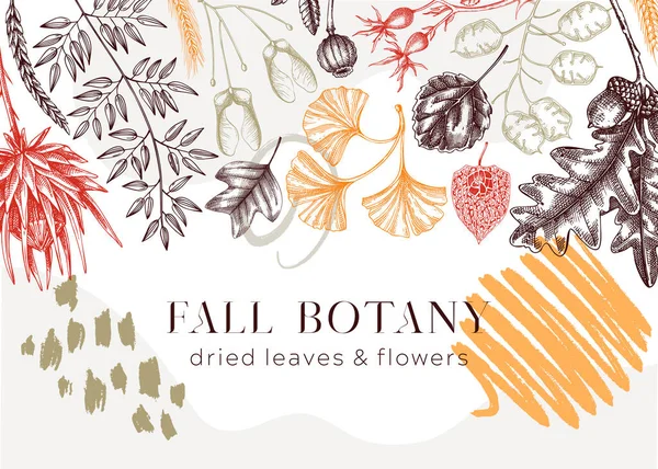 Autumn background in collage style. Fallen leaves and dried flowers banner. Floral border template. Hand-drawn dried plants, fall leaves, mushrooms, and fruit illustration. Thanksgiving background.