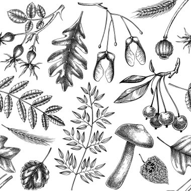 Autumn seamless pattern. Fall leaves background. Dried flowers sketches. Hand-drawn dried plant, fall leaves, mushrooms backdrop. For wrapping paper or fabrics