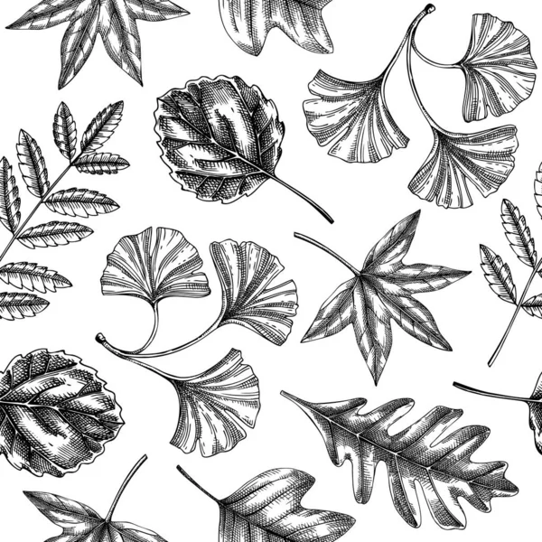 Autumn Seamless Pattern Fall Leaves Dried Flowers Sketches Thanksgiving Background — Wektor stockowy