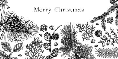 Merry Christmas background. Vintage winter trees, evergreen plants, conifers, and nuts sketches. Vector design with hand drawn botanical elements. Christmas card and New year invitation templates