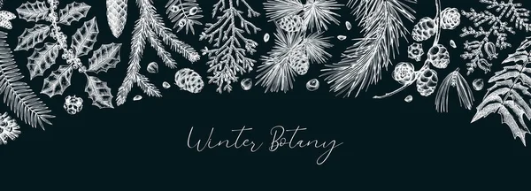 圣诞快乐无缝图案 冬季花 针叶树植物 具有手工绘制的植物学元素的向量设计 包装纸 包装纸 图库插图