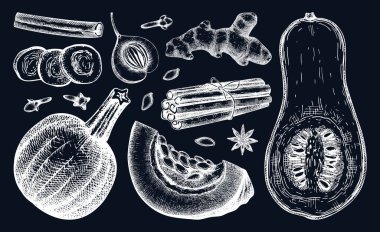 Autumn food collection on chalkboard. Pumpkin spices sketches. Pumpkin cake ingredients set. Anise star, ginger, cinnamon, nutmeg, cloves drawings black and white. Traditional fall food illustration
