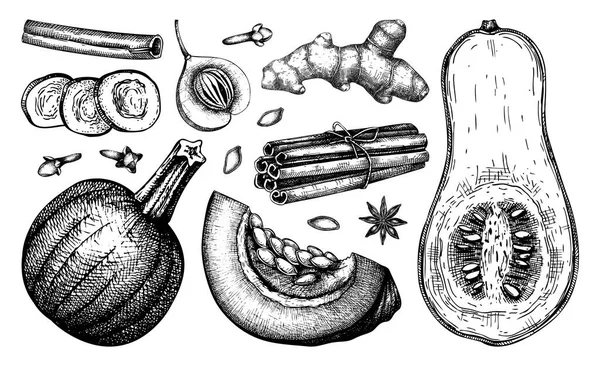 Колекція Осінньої Їжі Гарбузові Спеції Ескізи Набір Інгредієнтів Гарбузового Торта Векторна Графіка