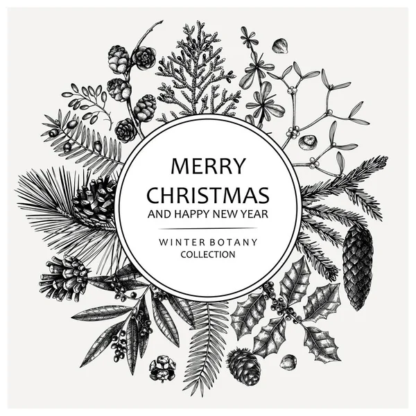 Merry Christmas Card Wreath Evergreen Plants Conifers Nuts Drawing Winter — Vetor de Stock